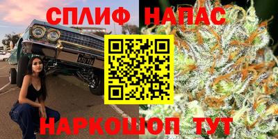 хмурый Краснознаменск
