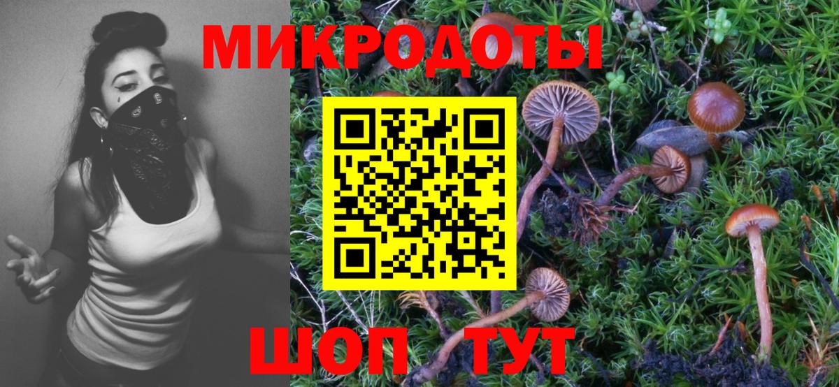 Псилоцибиновые грибы ЛСД  Вход с VPN  даркнет сайт  Черняховск 
