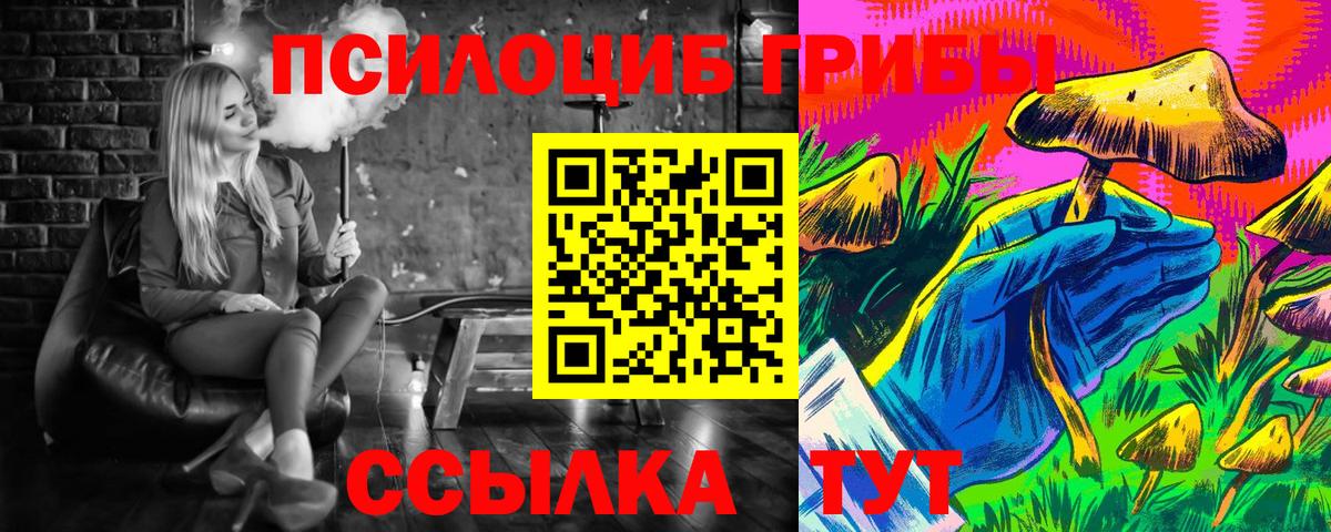 Псилоцибиновые грибы мицелий Черняховск